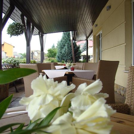 Hotel Azalia & Spa Niepołomice Dış mekan fotoğraf